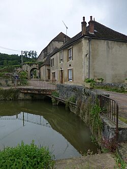L'Isle-sur-Serein (5).jpg