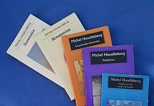 Archivo:Libros de Houellebecq