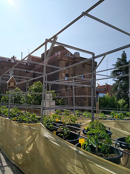 MadreenRoof