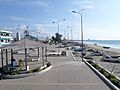 Malecon sp