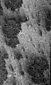 Mars Global Surveyor 1