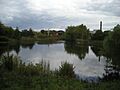 Meijer Gardens October 2014 47 (Sculpture Park)