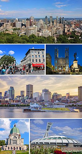 Montreal Montage 2020.jpg