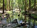 Nacimento del Ebro (Fontibre)
