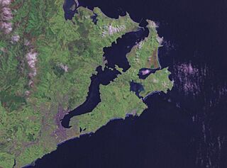 Otago harbour landsat.jpg