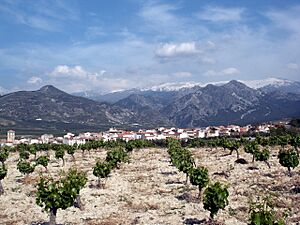 Archivo:Panoramicadilar