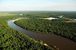 Parque Nacional do Viruá, Roraima (2).jpg
