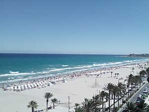 Archivo:Playa de San Juan, Alicante