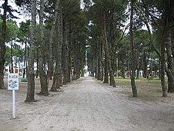 PlazaManuelBelgrano1.jgp.jpg
