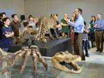 Predators at the Biblical Museum of Natural History