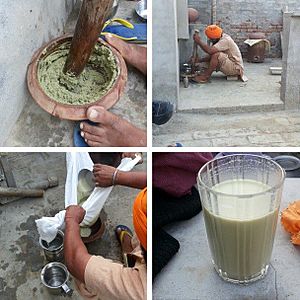 Archivo:Process of making bhang in Punjab, India