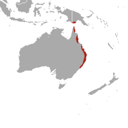 Distribución del pademelon de patas rojas en Australia y Nueva Guinea.