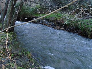 Rio alhama-lugros.jpg