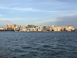 Sarasota Skyline.jpeg