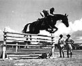 Springreiten1941