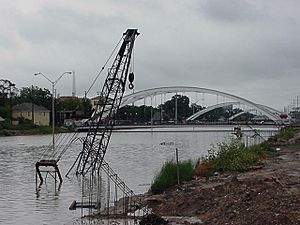 Archivo:TS Allison Texas flooding