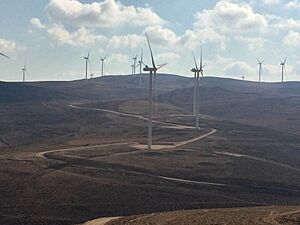 Archivo:Tafila Wind Farm 3