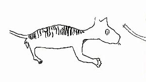 Archivo:Thylacoleo carnifex cave art