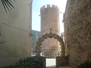Archivo:Torre del castillo palacio de Zeit Abu Zeit, posteriormente Torre del Palacio del Marqués de Argelita