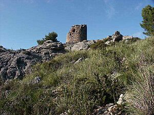 Archivo:TorredenaSeca2