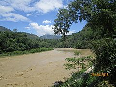 Trishuli River at Benighat (3)