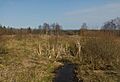 Tussen Belle Croix en Jalhay, panorama foto9 2017-03-12 12.09