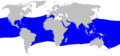 Alopias superciliosus distmap