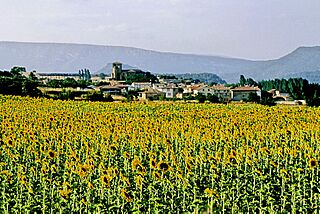 Burgos (provincia) 2004 12.jpg