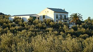 Archivo:Casería de olivar