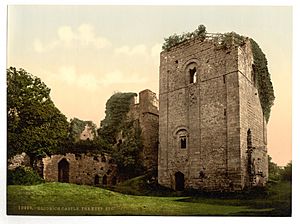 Archivo:Castle, the keep, Goodrich, England-LCCN2002696769