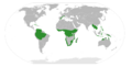 Cneoroideae distribution