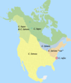 Distribution of North American Canis 2