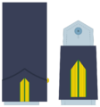 Ejerairedivies11