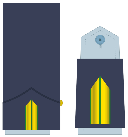 Ejerairedivies11