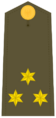 Ejerespadivi18
