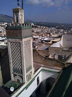 Archivo:Fes, Morocco (5413056103) (2)