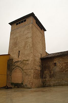 Antigua torre del Castillo de Grisaleña
