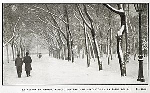 Archivo:La nevada en Madrid. Aspecto del Paseo de Recoletos en la tarde del 6, de Goñi