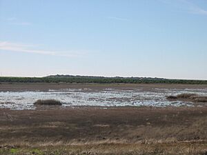 Archivo:Lagunas de beleña
