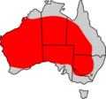 Macropus rufus distribution