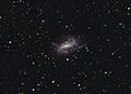 NGC925HunterWilson