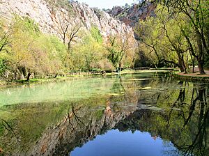 Archivo:Nuevalos - Monasterio de Piedra 16