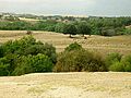 Penhalba0505