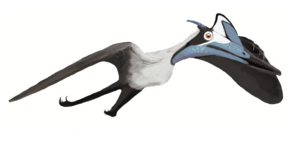 Archivo:Pterodactylus BMMS7 life