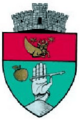 ROU SV Vatra Moldovitei CoA