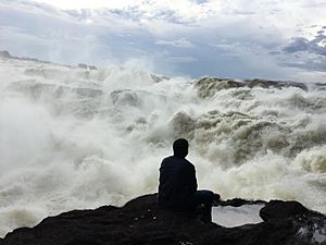 Archivo:Raudal del Jirijirimo- Reserva Yaigojé Apaporis