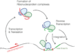 Retrotransposons