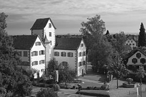 Archivo:Roggwil Schloss
