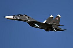 Archivo:Russian Navy, RF-34013, Sukhoi Su-30SM (49581740397)