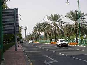 Archivo:Street in Al-Ain UAE